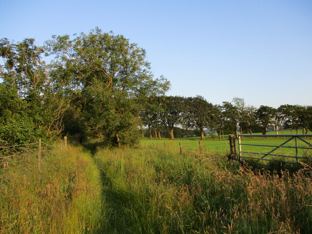 Path near Picketlaw Reservoir