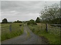 Farm track on Englishton Muir