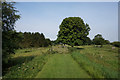 Riverside path at Airmyn