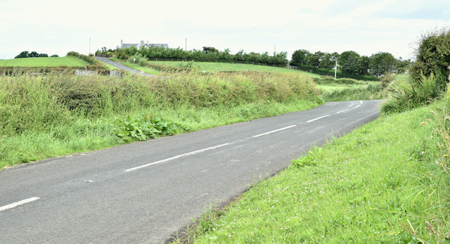 The Middle Road, Kilcoan More and Ballymuldrogh, Islandmagee (July 2019)