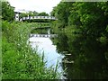 Footbridge over the Forth and Clyde Canal