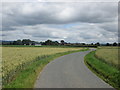 Lane towards Islebeck Grange