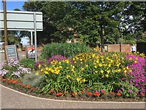 NT6878 : Pretty Flower Bed at Station Road Dunbar by Jennifer Petrie