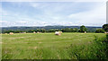 Pasture south-west of Newbridge-on-Wye in Powys