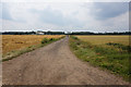 Long Hedge Lane towards Carlton