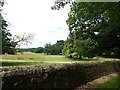 Petworth Deer Park and wall of Pleasure Grounds