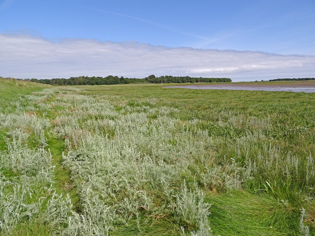 Coastal Wetland