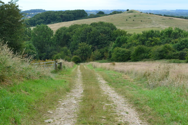 Descending track with Hoe Hill in the... © David Martin cc-by-sa/2.0 ...