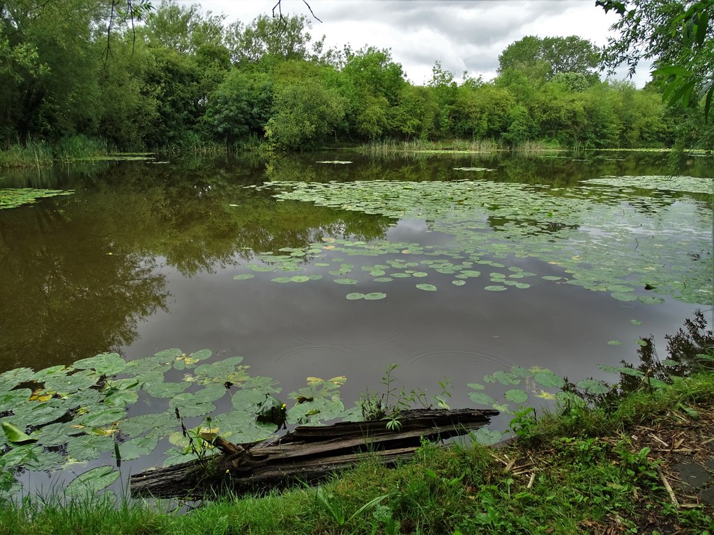 Fishing pond at Bleak Hills, Mansfield © Neil Theasby cc-by-sa/2.0 ...