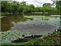 Fishing pond at Bleak Hills, Mansfield