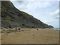 SY3792 : Cliff east of Charmouth by Robin Webster