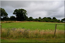 G2313 : Countryside at Drumrevagh by Kenneth  Allen