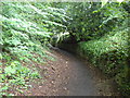 Footpath to Crossgate Peth, Durham