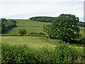 Pasture and woodland near Llanafan-Fawr in Powys