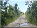 J0608 : Potholes on track running south towards the disused railway line by Eric Jones