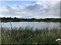 Bowesfield Nature Reserve