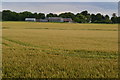 View across fields to Manor Farm