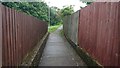 Footpath between Heol Tyn-y-Waun and Heol-yr-Ysgol 2019-7-20