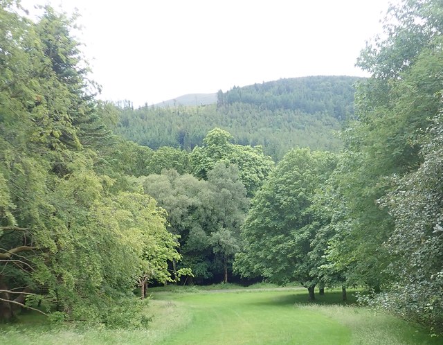 Parkland above the Shimna at Tollymore Forest Park
