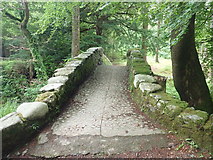 J3432 : Foley's Bridge spanning the Shimna River at Tollymore Park by Eric Jones