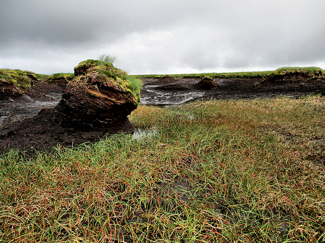 Peat Boulder © Kevin Higgins :: Geograph Ireland