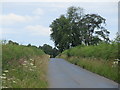 Minor road south of Moncreiffe Hill