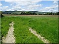 Grassland field near New Radnor