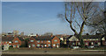 Houses on Oxford Street, The Dings