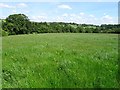 SO2156 : Farmland near Gwaithla by Philip Halling