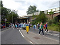 Romsey Carnival Procession (10)