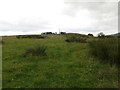 Footpath crossing rough grazing near to Ouzle Rock