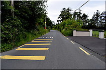 G6549 : L3203 road, Clontyprockills by Kenneth  Allen
