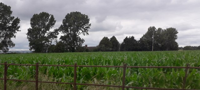 Fields near Halston Farm