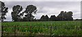 Fields near Halston Farm