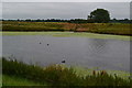 River Witham, looking at mouth of the former Horncastle Canal