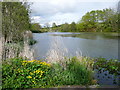 Waun-l?s Pond, National Botanic Garden of Wales