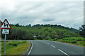 Burley Road, New Forest