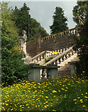SX9193 : Garden steps, Reed Hall by Derek Harper