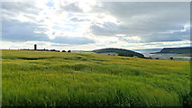 NH6454 : Summer barley field by Tullich Steading by Julian Paren