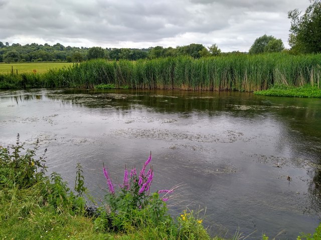 River Avon, Harnham water meadows, Salisbury
