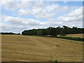 Stubble field towards Hazelend Wood