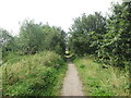 Bridleway along the River Maun