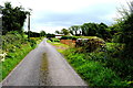 Small bridge along Esker Road