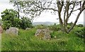 NH5351 : Chambered cairn, Balvaird by Gordon Hatton