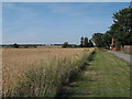 Arable Land and Public Footpath, near Roach Farm, Barling