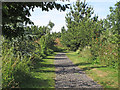 Path in Barling Magna Wildlife Reserve