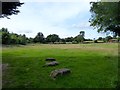 Barn Field