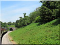 GWSR about to enter Greet tunnel