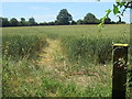 Footpath south of Broadley Common