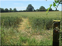 TL4106 : Footpath south of Broadley Common by Peter S